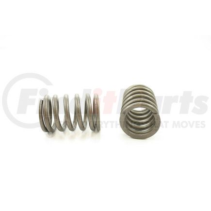 RV1200100 by PIONEER - VALVE SPRING