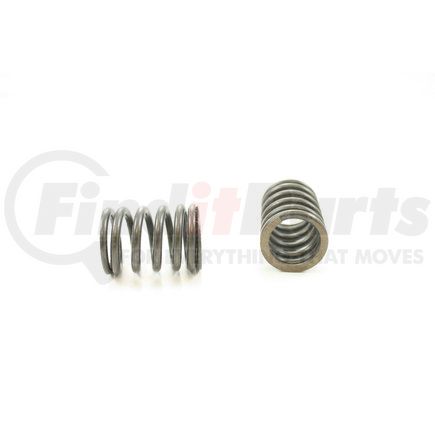 RV1203100 by PIONEER - VALVE SPRING