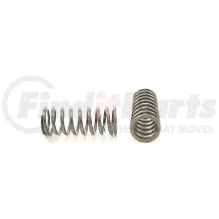 RV12094 by PIONEER - VALVE SPRING