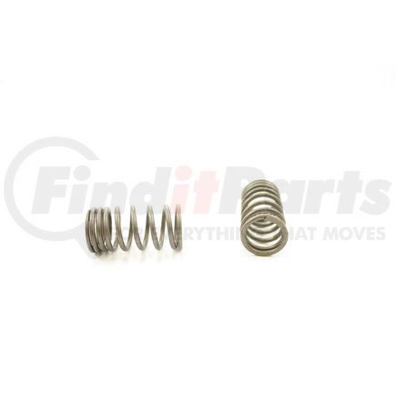 RV12104 by PIONEER - VALVE SPRING