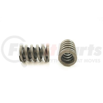 RV1220X100 by PIONEER - VALVE SPRING