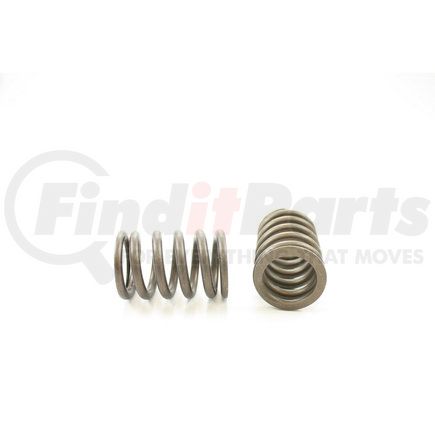 RV12344 by PIONEER - VALVE SPRING