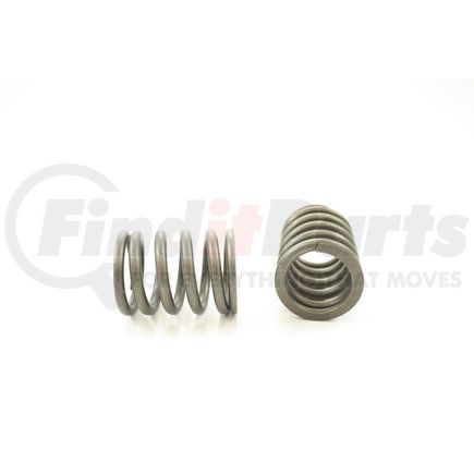 RV1239100 by PIONEER - VALVE SPRING