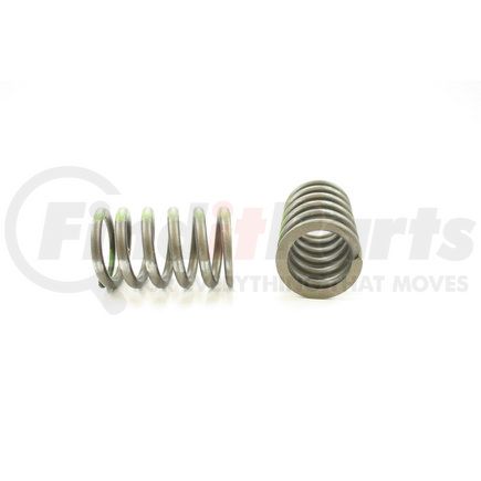 RV1246100 by PIONEER - VALVE SPRING