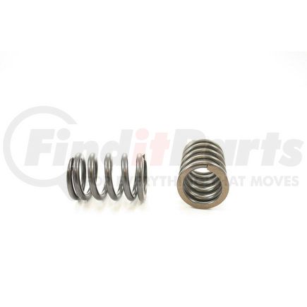 RV1247100 by PIONEER - VALVE SPRING