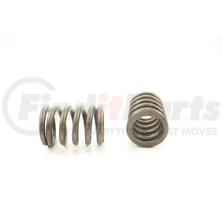 RV12504 by PIONEER - VALVE SPRING