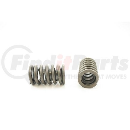 RV1253X100 by PIONEER - VALVE SPRING