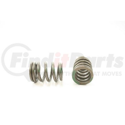 RV1248100 by PIONEER - VALVE SPRING