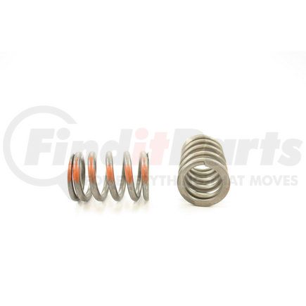 RV1257100 by PIONEER - VALVE SPRING