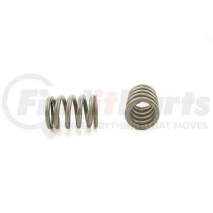 RV1258100 by PIONEER - VALVE SPRING