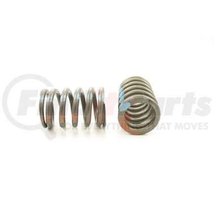 RV12544 by PIONEER - VALVE SPRING