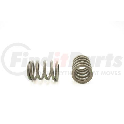 RV12614 by PIONEER - VALVE SPRING