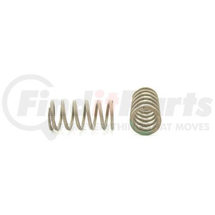 RV12594 by PIONEER - VALVE SPRING