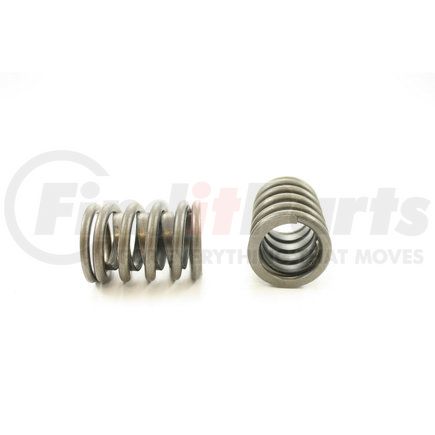 RV1266X100 by PIONEER - VALVE SPRING