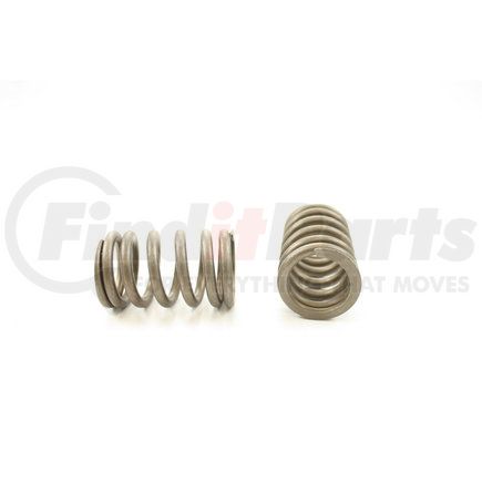 RV1268100 by PIONEER - VALVE SPRING