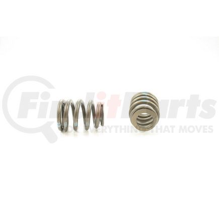 RV1282100 by PIONEER - VALVE SPRING