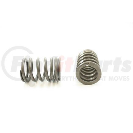 RV1289100 by PIONEER - VALVE SPRING