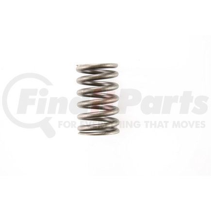 RV1293100 by PIONEER - VALVE SPRING