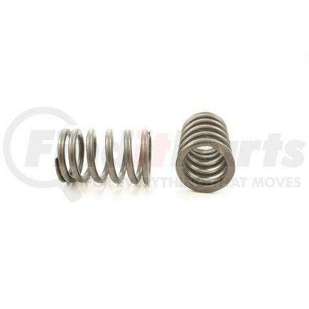 RV1290100 by PIONEER - VALVE SPRING