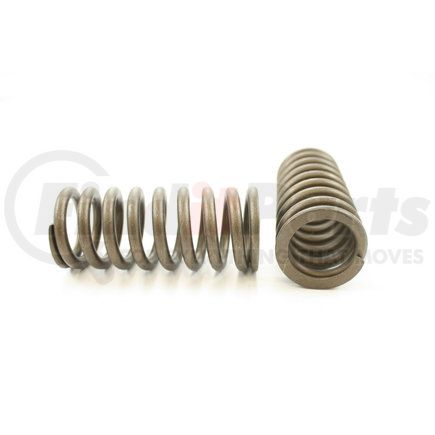 RV1296100 by PIONEER - VALVE SPRING