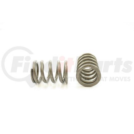 RV1299100 by PIONEER - VALVE SPRING