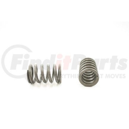 RV13044 by PIONEER - VALVE SPRING