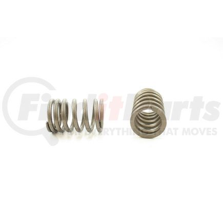 RV13124 by PIONEER - VALVE SPRING