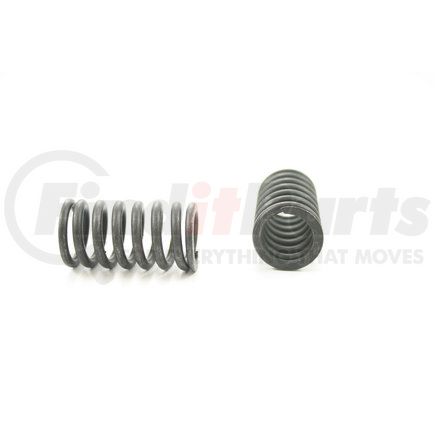 RV13294 by PIONEER - VALVE SPRING