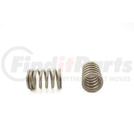 RV13154 by PIONEER - VALVE SPRING