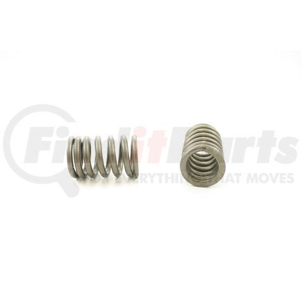 RV13164 by PIONEER - VALVE SPRING