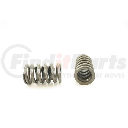 RV1331X100 by PIONEER - VALVE SPRING