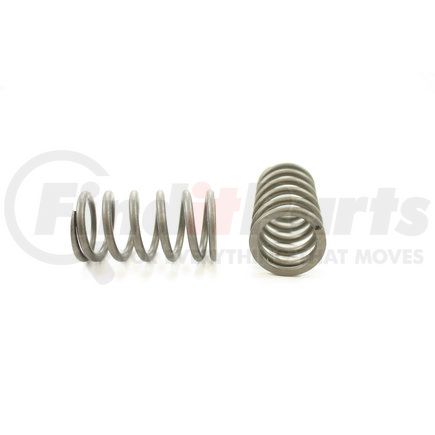 RV13504 by PIONEER - VALVE SPRING