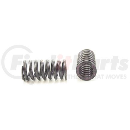 RV13334 by PIONEER - VALVE SPRING