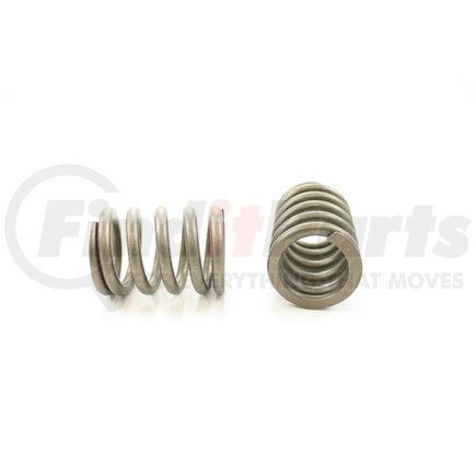 RV13454 by PIONEER - VALVE SPRING