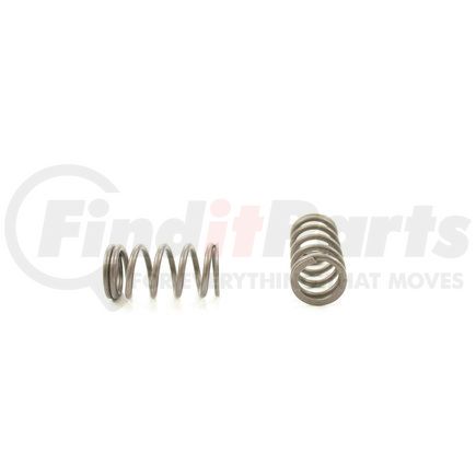 RV13644 by PIONEER - VALVE SPRING