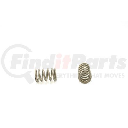 RV13664 by PIONEER - VALVE SPRING