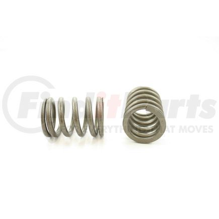 RV13614 by PIONEER - VALVE SPRING