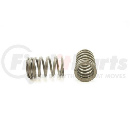 RV13624 by PIONEER - VALVE SPRING