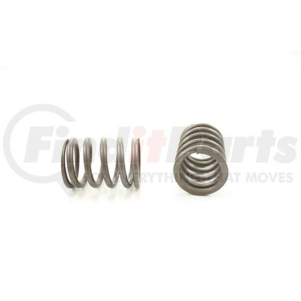 RV13674 by PIONEER - VALVE SPRING