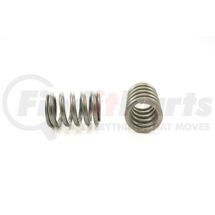 RV13734 by PIONEER - VALVE SPRING