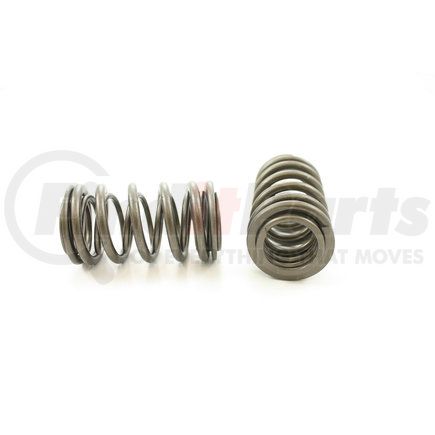 RV13814 by PIONEER - VALVE SPRING