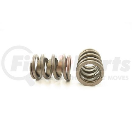 RV13874 by PIONEER - VALVE SPRING