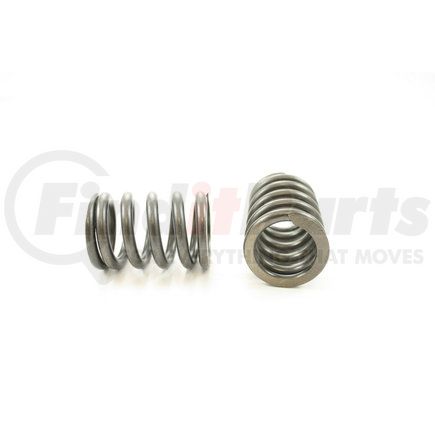 RV1388100 by PIONEER - VALVE SPRING