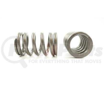 RV13894 by PIONEER - VALVE SPRING