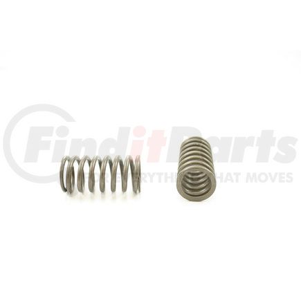 RV14064 by PIONEER - VALVE SPRING