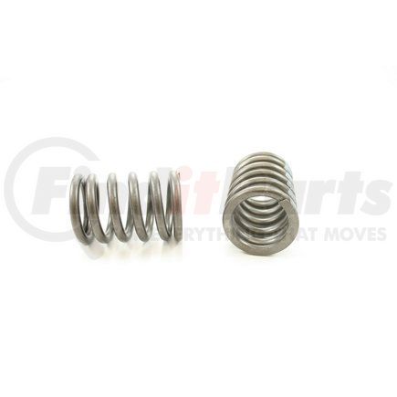 RV1405100 by PIONEER - VALVE SPRING