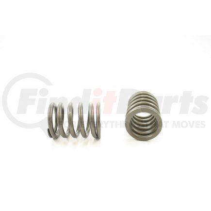 RV14114 by PIONEER - VALVE SPRING