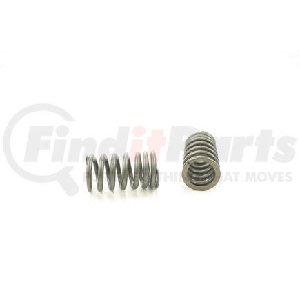 RV14094 by PIONEER - VALVE SPRING