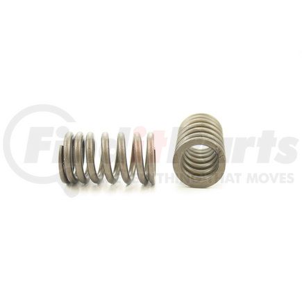 RV14304 by PIONEER - VALVE SPRING