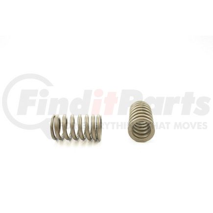 RV14294 by PIONEER - VALVE SPRING